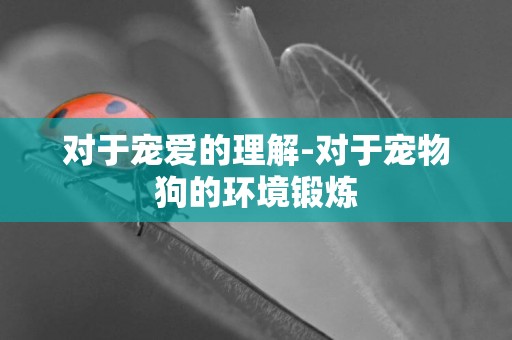對于寵愛的理解-對于寵物狗的環境鍛煉