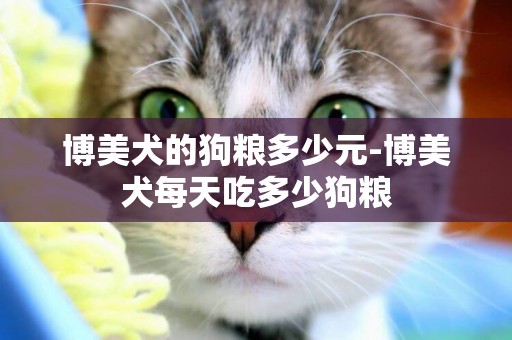 博美犬的狗糧多少元-博美犬每天吃多少狗糧