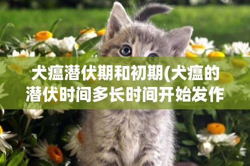 犬瘟潛伏期和初期(犬瘟的潛伏時間多長時間開始發作)