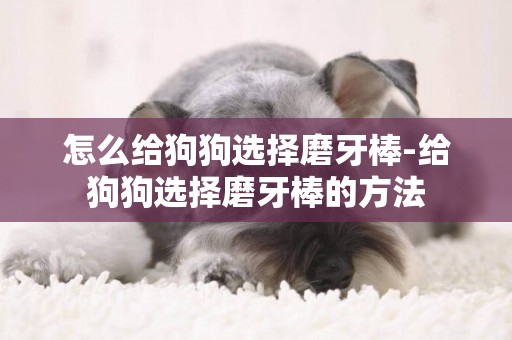 怎么給狗狗選擇磨牙棒-給狗狗選擇磨牙棒的方法