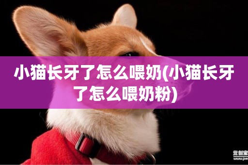 小貓長牙了怎么喂奶(小貓長牙了怎么喂奶粉)