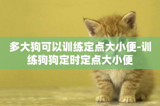 多大狗可以訓練定點大小便-訓練狗狗定時定點大小便