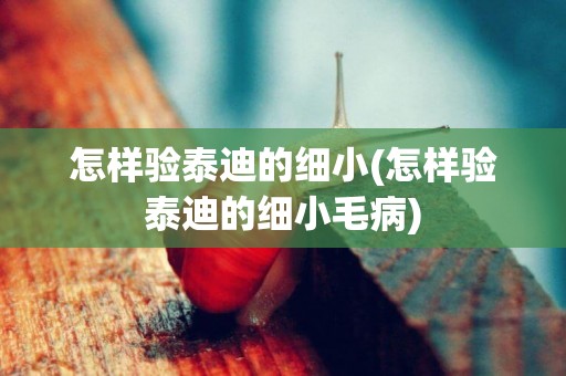 怎樣驗泰迪的細小(怎樣驗泰迪的細小毛病)