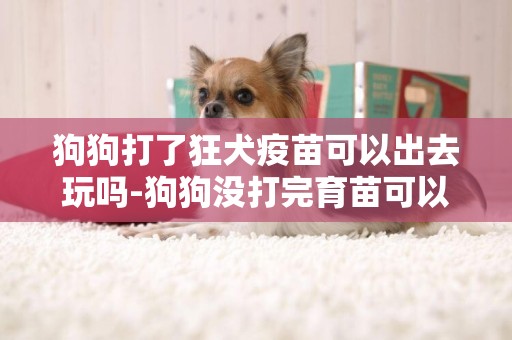 狗狗打了狂犬疫苗可以出去玩嗎-狗狗沒打完育苗可以帶出去玩嗎