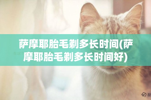 薩摩耶胎毛剃多長時間(薩摩耶胎毛剃多長時間好)