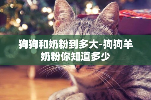 狗狗和奶粉到多大-狗狗羊奶粉你知道多少