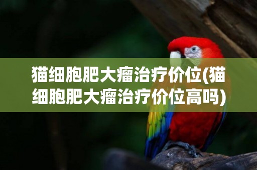 貓細胞肥大瘤治療價位(貓細胞肥大瘤治療價位高嗎)
