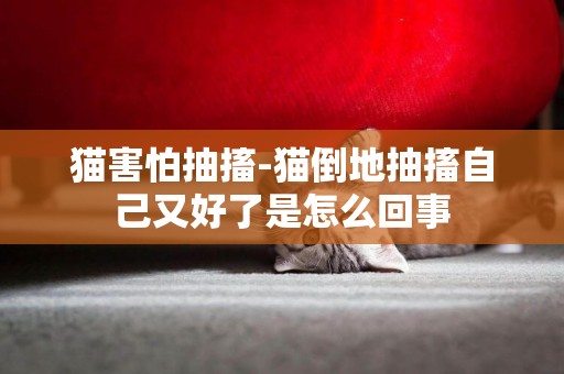 貓害怕抽搐-貓倒地抽搐自己又好了是怎么回事