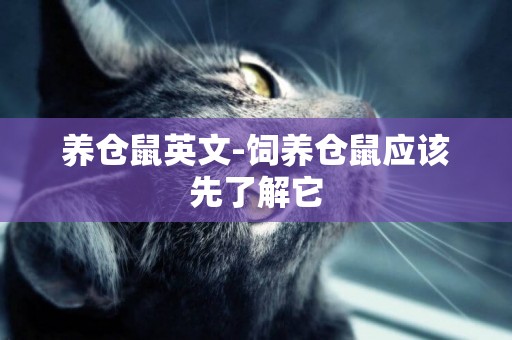 養倉鼠英文-飼養倉鼠應該先了解它