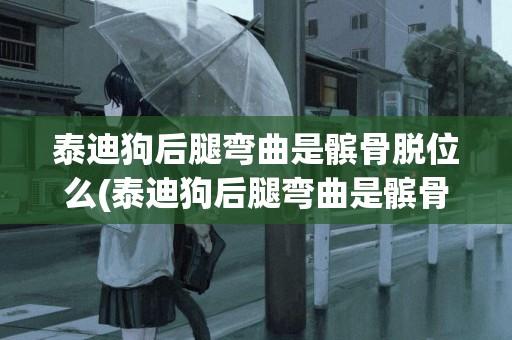 泰迪狗后腿彎曲是髕骨脫位么(泰迪狗后腿彎曲是髕骨脫位么嗎)