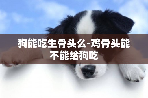 狗能吃生骨頭么-雞骨頭能不能給狗吃