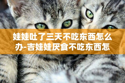 娃娃吐了三天不吃東西怎么辦-吉娃娃厭食不吃東西怎么辦