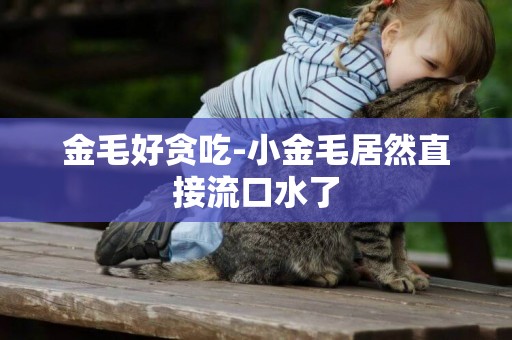 金毛好貪吃-小金毛居然直接流口水了