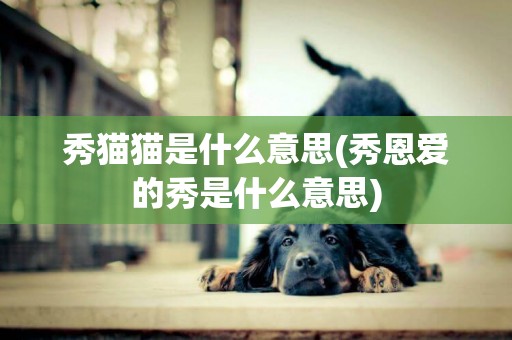 秀貓貓是什么意思(秀恩愛的秀是什么意思)