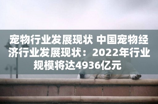 寵物行業發展現狀 中國寵物經濟行業發展現狀：2022年行業規模將達4936億元 