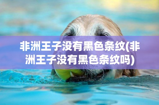 非洲王子沒有黑色條紋(非洲王子沒有黑色條紋嗎)