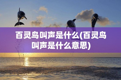 百靈鳥叫聲是什么(百靈鳥叫聲是什么意思)