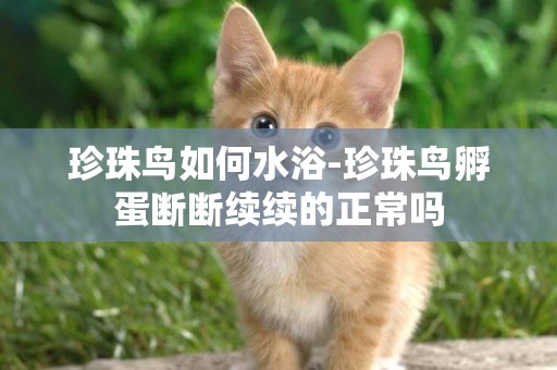 珍珠鳥如何水浴-珍珠鳥孵蛋斷斷續續的正常嗎