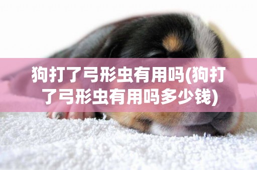 狗打了弓形蟲有用嗎(狗打了弓形蟲有用嗎多少錢)