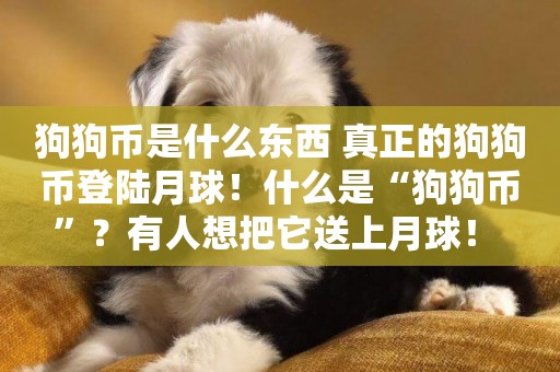 狗狗幣是什么東西 真正的狗狗幣登陸月球！什么是“狗狗幣”？有人想把它送上月球！ 