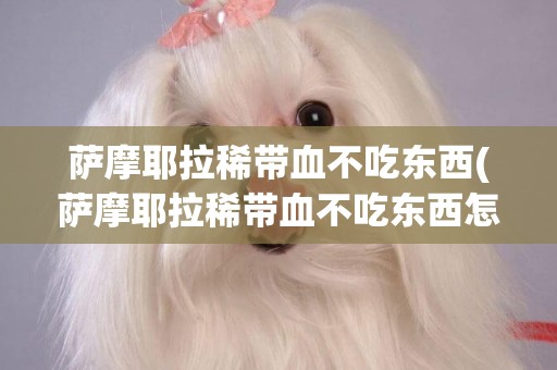 薩摩耶拉稀帶血不吃東西(薩摩耶拉稀帶血不吃東西怎么回事)