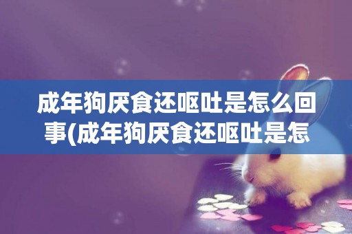 成年狗厭食還嘔吐是怎么回事(成年狗厭食還嘔吐是怎么回事啊)