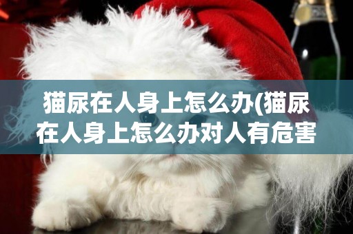 貓尿在人身上怎么辦(貓尿在人身上怎么辦對人有危害不)