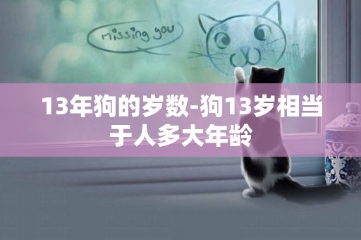 13年狗的歲數-狗13歲相當于人多大年齡