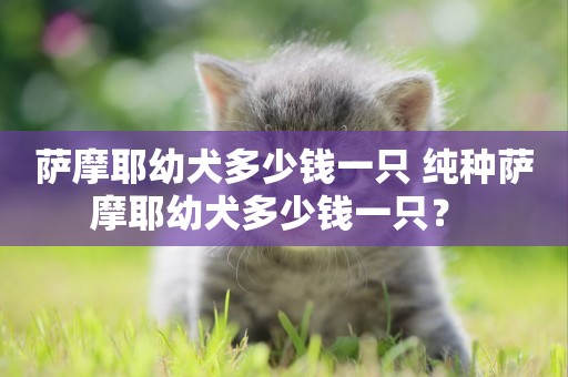 薩摩耶幼犬多少錢一只 純種薩摩耶幼犬多少錢一只？ 