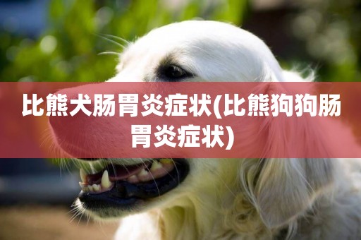 比熊犬腸胃炎癥狀(比熊狗狗腸胃炎癥狀)