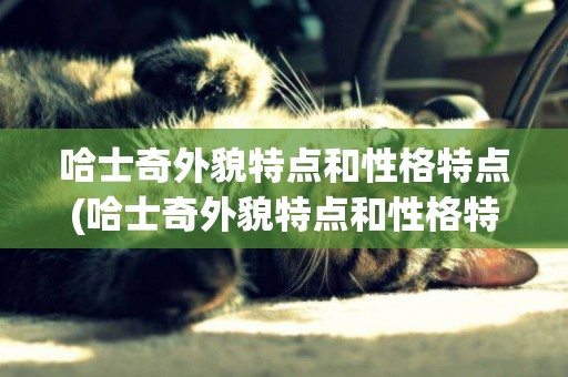 哈士奇外貌特點和性格特點(哈士奇外貌特點和性格特點圖片)