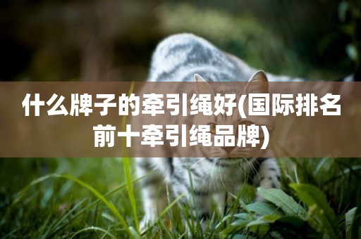 什么牌子的牽引繩好(國際排名前十牽引繩品牌)
