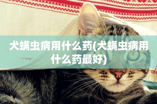 犬螨蟲病用什么藥(犬螨蟲病用什么藥最好)