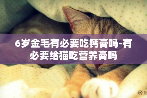 6歲金毛有必要吃鈣膏嗎-有必要給貓吃營養膏嗎