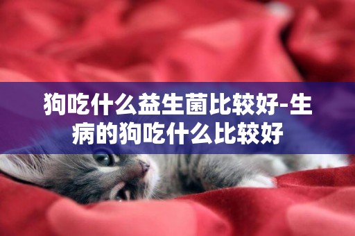 狗吃什么益生菌比較好-生病的狗吃什么比較好
