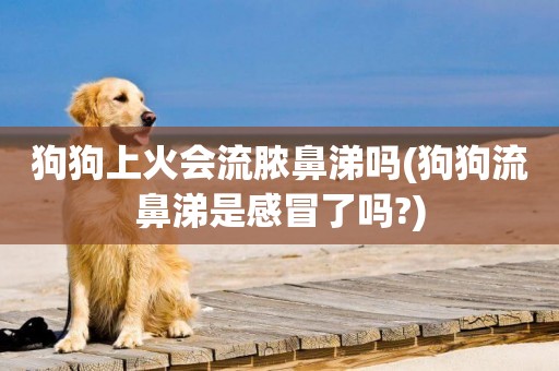 狗狗上火會流膿鼻涕嗎(狗狗流鼻涕是感冒了嗎?)