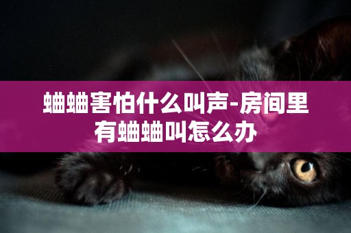 蛐蛐害怕什么叫聲-房間里有蛐蛐叫怎么辦