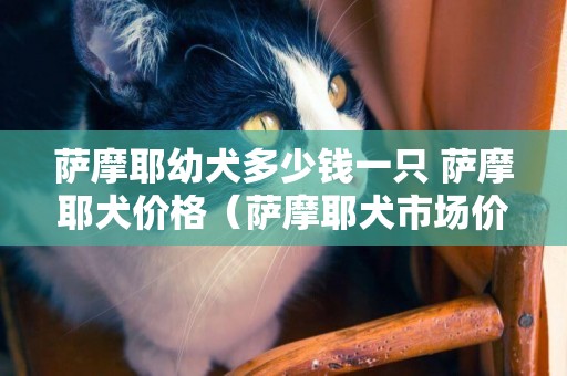 薩摩耶幼犬多少錢一只 薩摩耶犬價格（薩摩耶犬市場價格） 