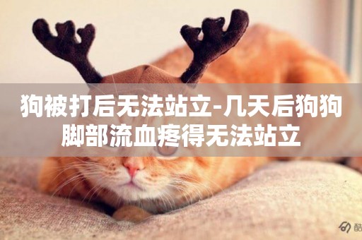 狗被打后無法站立-幾天后狗狗腳部流血疼得無法站立