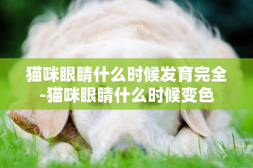 貓咪眼睛什么時候發育完全-貓咪眼睛什么時候變色