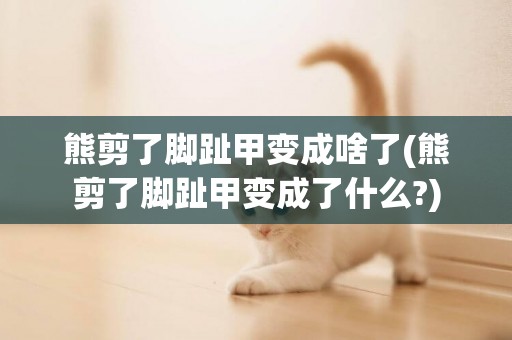 熊剪了腳趾甲變成啥了(熊剪了腳趾甲變成了什么?)