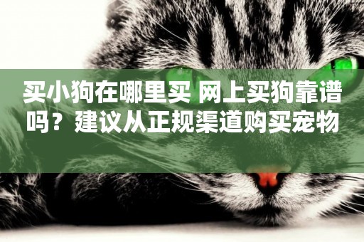 買小狗在哪里買 網上買狗靠譜嗎？建議從正規渠道購買寵物 