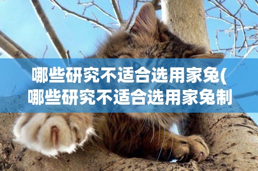 哪些研究不適合選用家兔(哪些研究不適合選用家兔制品)