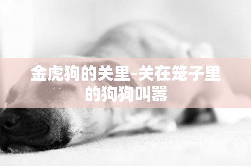 金虎狗的關里-關在籠子里的狗狗叫囂