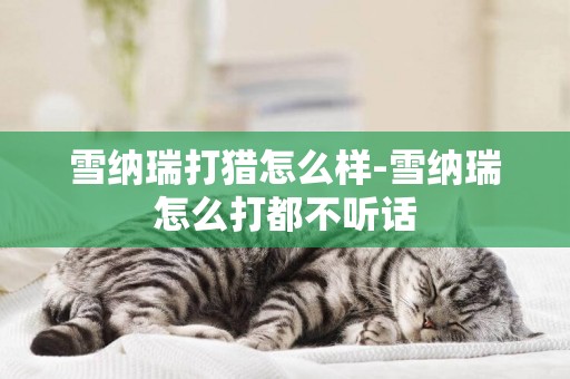 雪納瑞打獵怎么樣-雪納瑞怎么打都不聽話