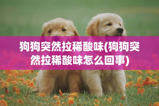 狗狗突然拉稀酸味(狗狗突然拉稀酸味怎么回事)