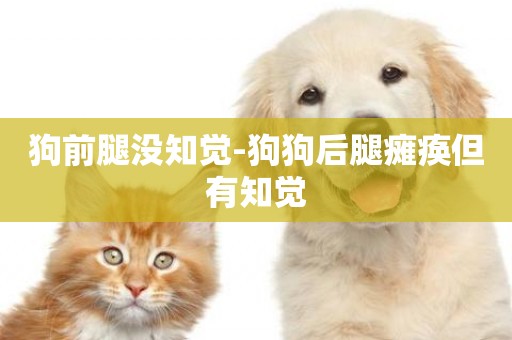 狗前腿沒知覺-狗狗后腿癱瘓但有知覺