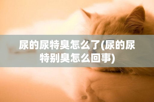尿的尿特臭怎么了(尿的尿特別臭怎么回事)