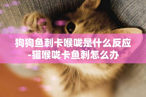 狗狗魚刺卡喉嚨是什么反應-貓喉嚨卡魚刺怎么辦