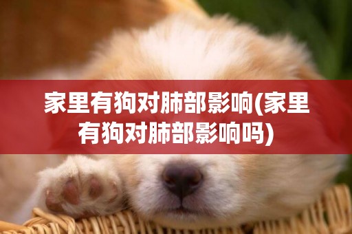 家里有狗對肺部影響(家里有狗對肺部影響嗎)